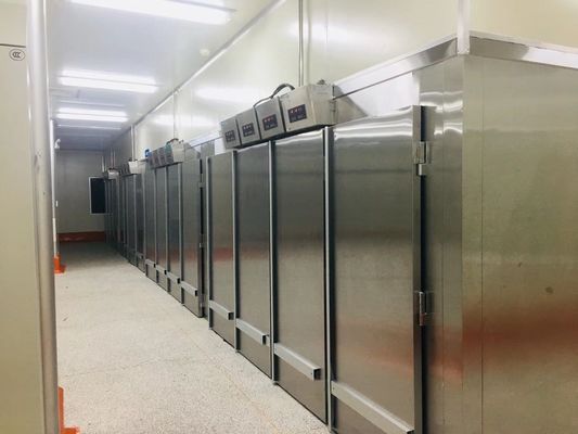 El rollo de Yasur YST-1R2 en el tipo doble final del sitio de la fermentadora de Proofer de la pasta atormenta las bandejas 220V 2KW de los 40X60cm