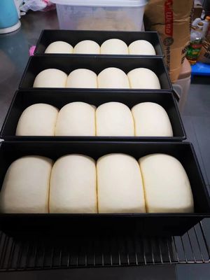 Yasur 40 bandejas alcanza en el tipo tipo generador del lavado del aire 2kw de Proofer los 40X60cm de la pasta de la pizza del vapor